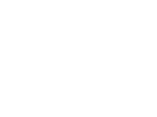Password protection